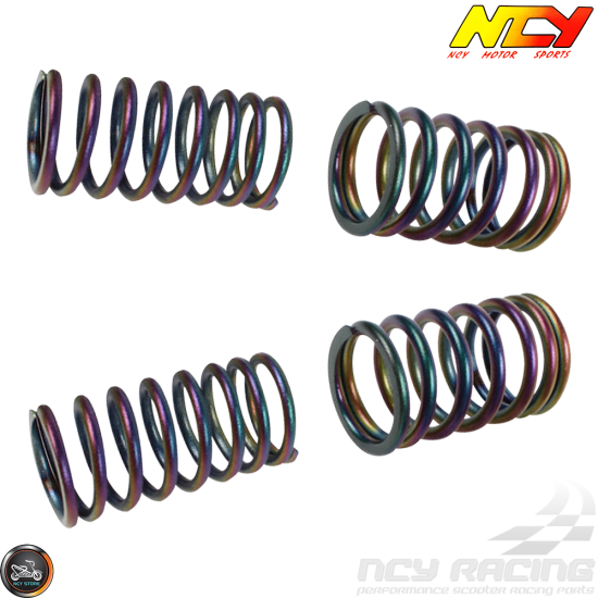 NCY Valve Springs 11,000 RPM 2V Electroplated Titanium (139QMB, GY6)